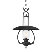Troy F9013-SFB - La Grange Exterior Lantern