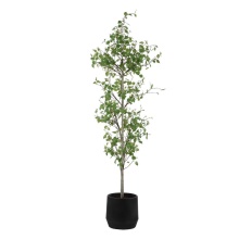 Uttermost 60263 - Uttermost Boreal Potted Birch Tree