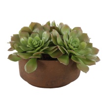 Uttermost 60267 - Uttermost Sable Succulent Accent In Pot