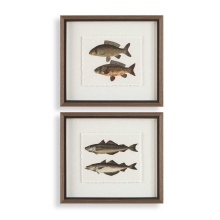 Uttermost 32448 - Uttermost The Catch Framed Fish Prints Set/2