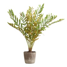 Uttermost 60243 - Uttermost Zamia Palm Accent In Planter